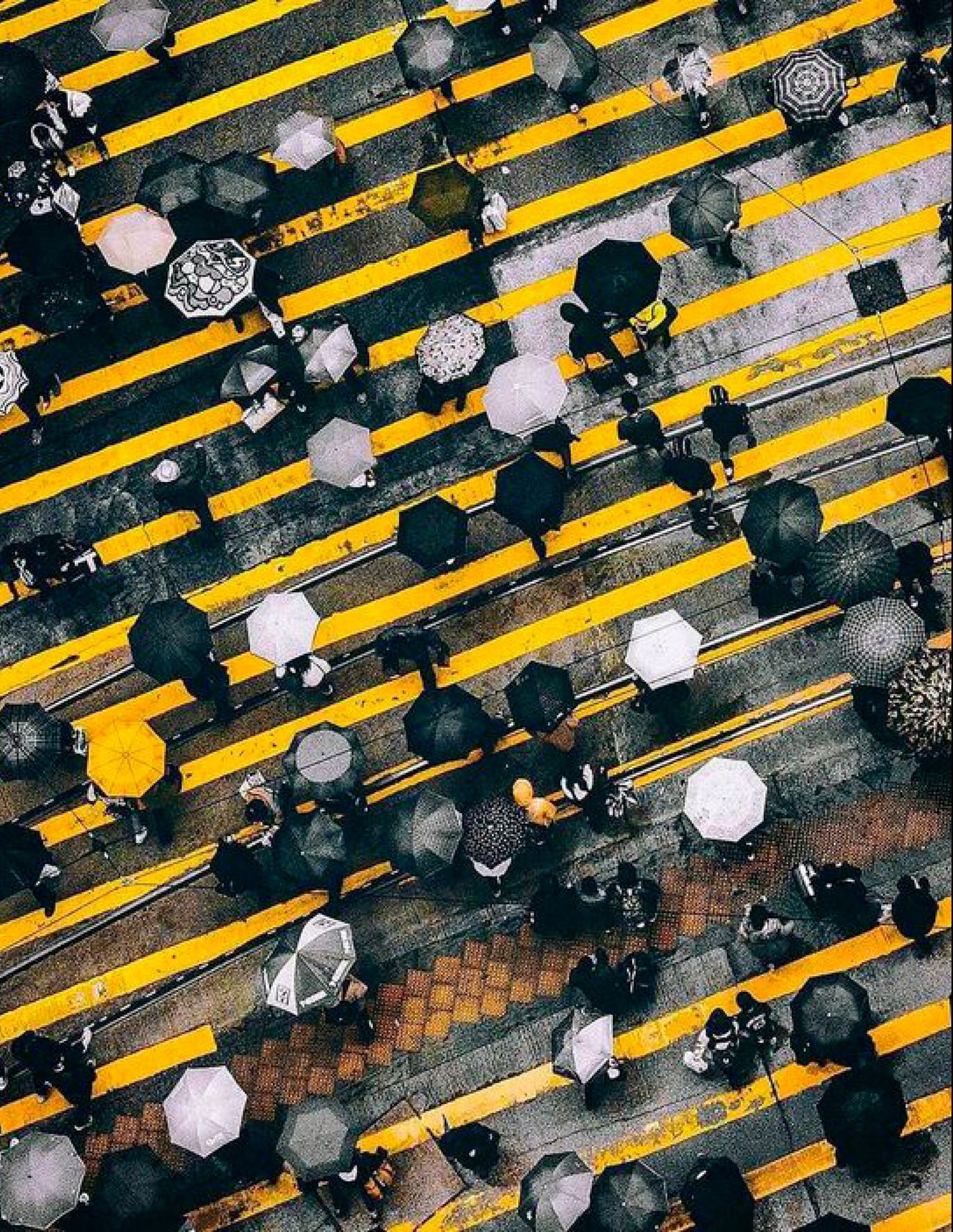 ROCKPORT CONTINÚA SU MISIÓN DE IMPULSAR EL VIAJE COTIDIANO, MANTENIÉNDOSE EN SINTONÍA CON LA VIDA.